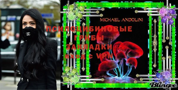 Альфа ПВП Козельск