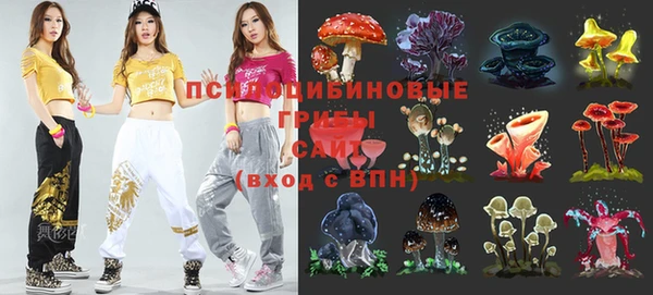 Альфа ПВП Козельск